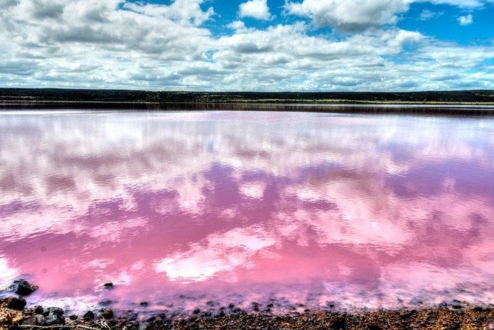西澳【珀斯】粉红仙境游4天☞粉红湖+卡尔巴里+尖峰石阵+自由活动
