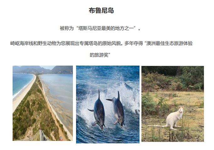 琛岀▼缇庡浘