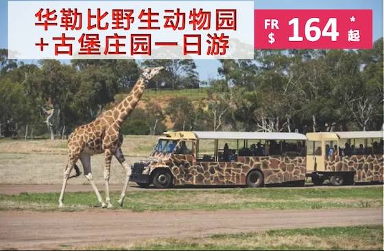 琛岀▼缇庡浘
