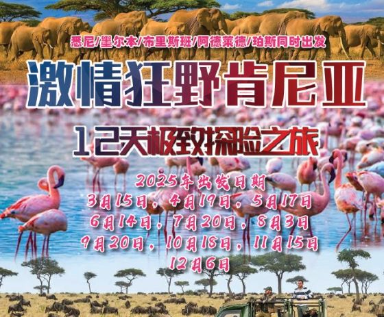 CT 激情狂野肯尼亚12天极限探险之旅 包含机票