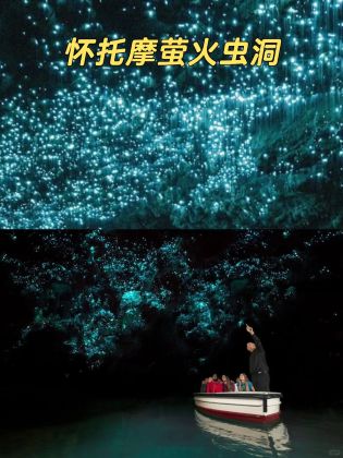 琛岀▼缇庡浘